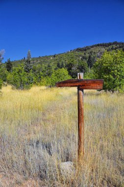 Yürüyüş Patikası Hamongog Tepesi Yalnız Tepe Vahşi Doğası, Wasatch Rocky Dağları, Utah. Birleşik Devletler. 