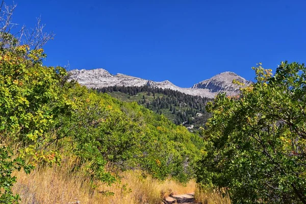 Hamongog Túraútvonal Hegyi Kilátás Lone Peak Wilderness Wasatch Sziklás Hegység — Stock Fotó