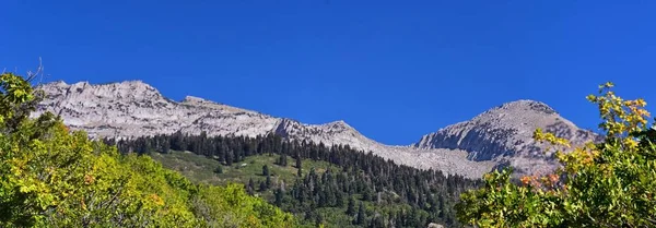 Hamongog Sendero Senderismo Vistas Montaña Por Debajo Lone Peak Wilderness — Foto de Stock