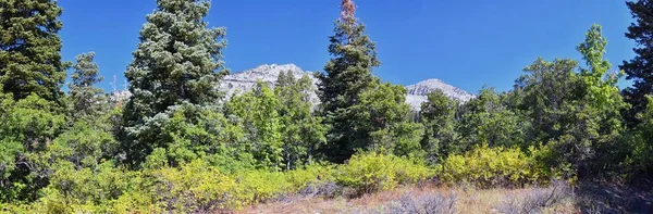 犹他州瓦萨奇落基山脉孤峰荒原下的哈蒙戈格徒步小径山景 — 图库照片
