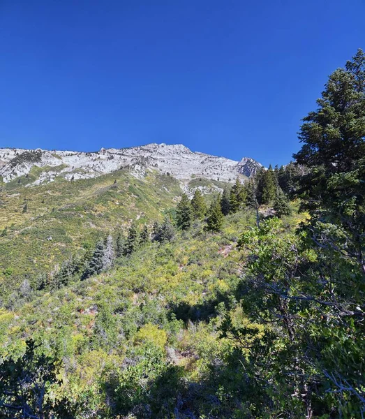 犹他州瓦萨奇落基山脉孤峰荒原下的哈蒙戈格徒步小径山景 — 图库照片