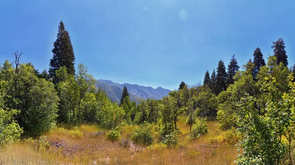 Hamongog Szlak Turystyczny Widoki Góry Poniżej Lone Peak Wilderness Wasatch — Zdjęcie stockowe