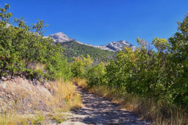 Hamongog yürüyüş yolu Lone Peak Wilderness, Wasatch Front Rocky Mountains, Alpine, Utah 'ı gösteriyor. Amerika.