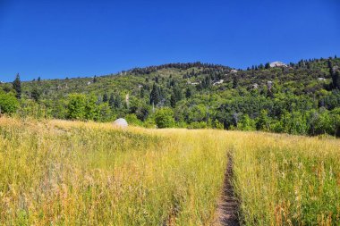 Hamongog yürüyüş yolu Lone Peak Wilderness, Wasatch Front Rocky Mountains, Alpine, Utah 'ı gösteriyor. Amerika.