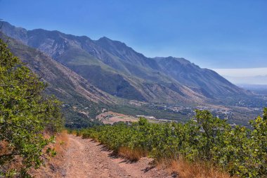 Hamongog yürüyüş yolu Lone Peak Wilderness, Wasatch Front Rocky Mountains, Alpine, Utah 'ı gösteriyor. Amerika.