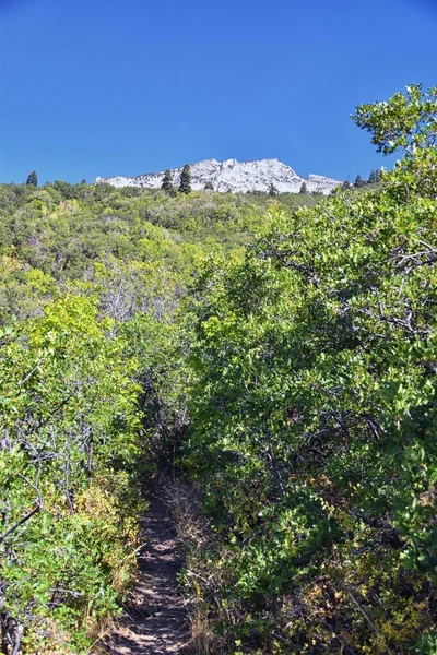 Hamongog Wanderweg Blick Auf Lone Peak Wilderness Wasatch Front Rocky — Stockfoto
