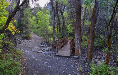 Kyhv Tepesi Patikası manzarası, Y Dağı, Timpanogos Dağı Wasatch Sıradağları, Utah tarafından yeniden adlandırıldı. Amerika.  