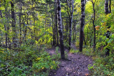Kyhv Tepesi Patikası manzarası, Y Dağı, Timpanogos Dağı Wasatch Sıradağları, Utah tarafından yeniden adlandırıldı. Amerika.  