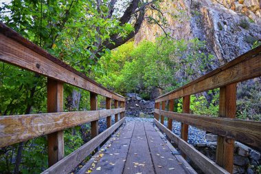 Kyhv Tepesi Patikası manzarası, Y Dağı, Timpanogos Dağı Wasatch Sıradağları, Utah tarafından yeniden adlandırıldı. Amerika.  