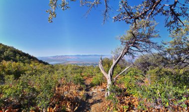 Kyhv Peak Utah Vadisi manzarası, geçenlerde Y Dağı tarafından yeniden adlandırıldı, Timpanogos Dağı Wasatch Sıradağları. Amerika. 