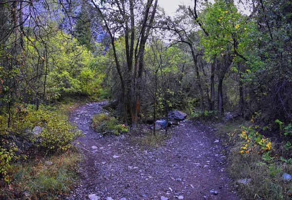Kyhv Peak Trail Utsikt Nyligen Omdöpt Mountain Mount Timpanogos Wasatch — Stockfoto