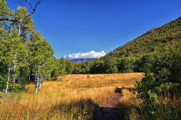 Kyhv Peak Trail Utsikt Nyligen Omdöpt Mountain Mount Timpanogos Wasatch — Stockfoto