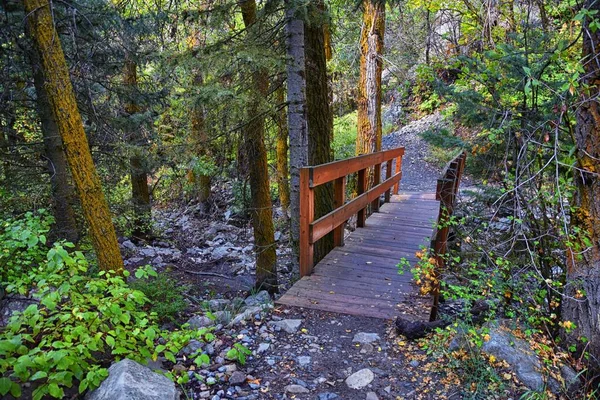 stock image Kyhv Peak Trail views, recently renamed, by Y Mountain, Mount Timpanogos Wasatch Range, Utah. America.  