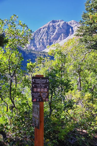 Trilha Caminhada Sign Bear Canyon Trilha Timpanogos Wasatch Range Montanhas — Fotografia de Stock