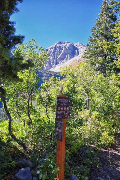 Hiking Trail Sign Bear Canyon Trail Timpanogos Wasatch Range Rocky — Stock Photo, Image