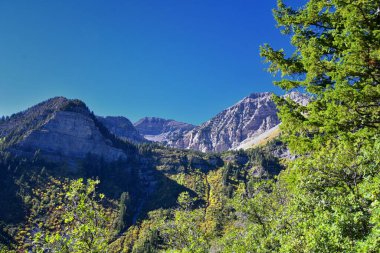 Timpanogos Tepesi, Utah 'taki Bear Canyon Trail Wasatch Range' da yürüyüş yaparken görülüyor. Birleşik Devletler. 