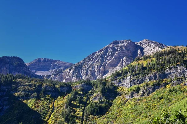Timpanogos Peak Blick Zurück Wandern Bear Canyon Trail Wasatch Range — Stockfoto