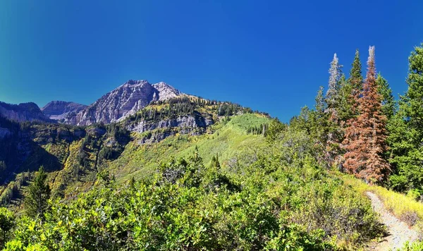 Пик Тимпаногос Timpanogos Peak Back Views Hiking Bear Canyon Trail — стоковое фото