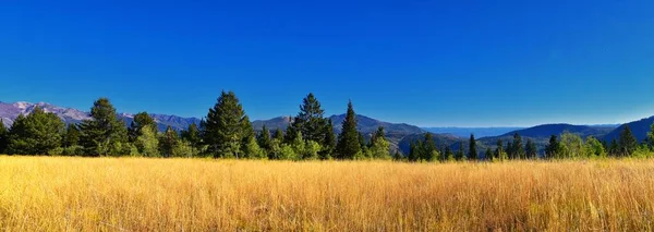 stock image Bear Canyon hiking trail views by Mount Timpanogos Peak Wasatch Range, Utah. USA.  