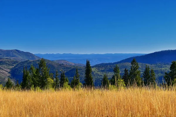 Bear Canyon yürüyüş yolu manzarası Timpanogos Tepesi Wasatch Sıradağları, Utah. ABD.  