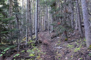 Deseret Peak yürüyüş yolu Stansbury Dağları, Oquirrh Dağları, Rocky Dağları, Utah. Amerika.  