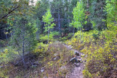 Deseret Peak yürüyüş yolu Stansbury Dağları, Oquirrh Dağları, Rocky Dağları, Utah. Amerika.  