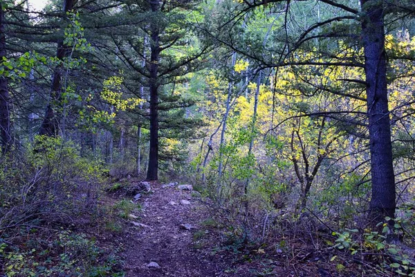 Deseret Peak Hiking Trail Stansbury Mountains Oquirrh Mountains Rocky Mountains — Stock Photo, Image