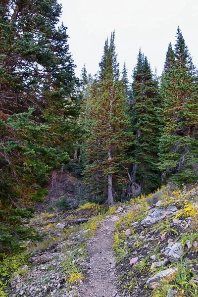 Deseret Peak Trilha Caminhadas Stansbury Mountains Por Oquirrh Mountains Rocky — Fotografia de Stock