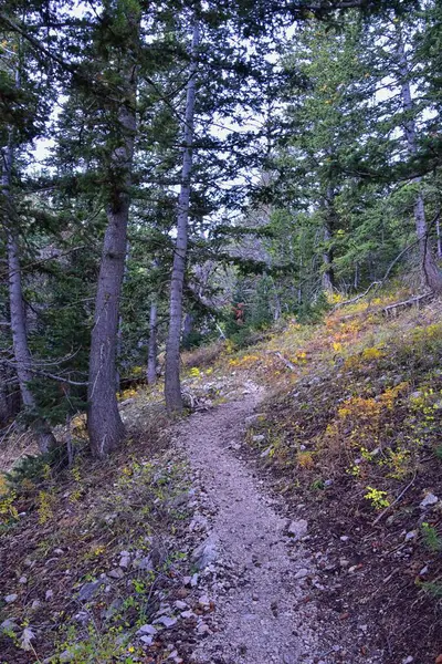 デザートピークハイキングトレイルスタンズベリー山脈 オキーラ山脈ロッキー山脈 ユタ州 アメリカ — ストック写真