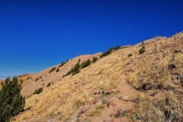 Deseret Peak Hiking Trail Stansbury Mountains Oquirrh Mountains Rocky Mountains — стокове фото