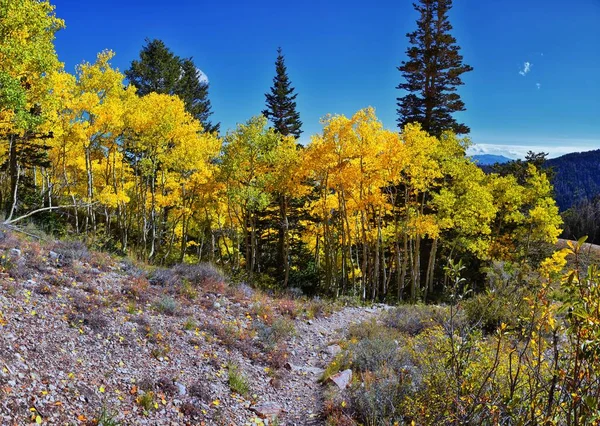 Deseret Peak Trekking Trail Stansbury Mountains Oquirrh Mountains Rocky Mountains — Foto Stock