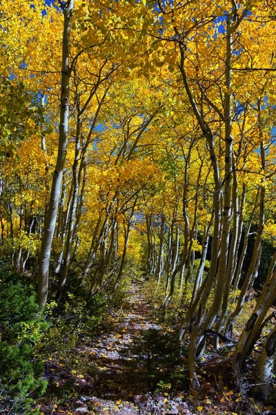 Deseret Peak Hiking Trail Stansbury Mountains Oquirrh Mountains Rocky Mountains — Stock Photo, Image