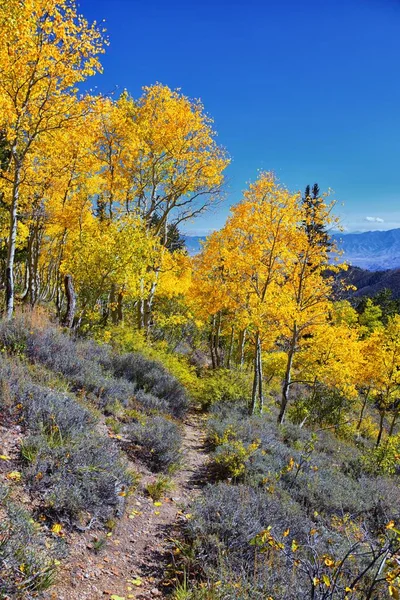 Deseret Peak Hiking Trail Stansbury Mountains Oquirrh Mountains Rocky Mountains Stock Image