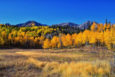 Utah 'taki Wasatch Dağları' nda Timpanogos 'un Pine Hollow yürüyüş yolu manzarası. Amerika.  