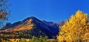 Timpanogos Tepesi, Bear Canyon Patikası Wasatch Rocky Dağları 'nı, Utah' ı geziyor. Birleşik Devletler.