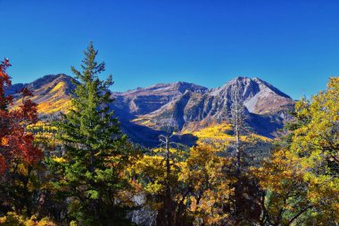 Timpanogos Tepesi, Bear Canyon Patikası Wasatch Rocky Dağları 'nı, Utah' ı geziyor. Birleşik Devletler.