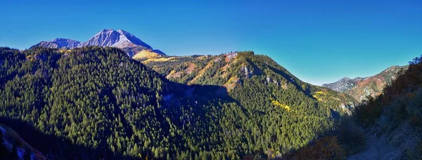 Timpanogos Peak Back Views Hiking Bear Canyon Trail Wasatch Rocky — стокове фото