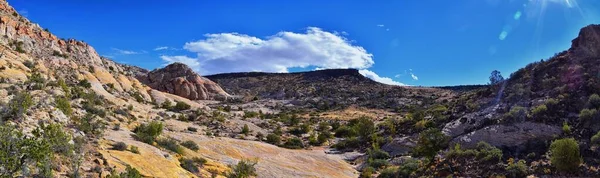 布朗斯远足小径圣乔治雪崩峡谷犹他州 锡安国家公园旁边 — 图库照片