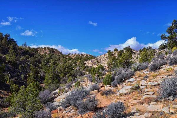 Jones Bones Vandringsled George Sandsten Snow Canyon Utah Vid Zions — Stockfoto