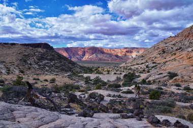 Jones Kemikleri 'nden Kar Kanyonu manzarası St George Utah Zions Ulusal Parkı' nda yürüyüş yapıyor. ABD.