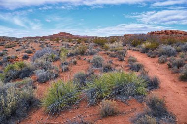Chuckawalla and Turtle Wall trail desert hiking views Cliffs National Conservation Area Wilderness, Snow Canyon State Park St George, Utah, United States.