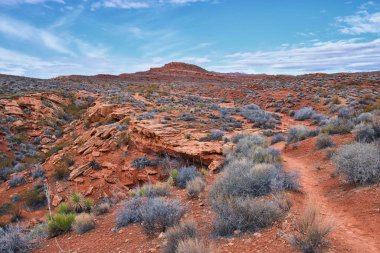 Chuckawalla and Turtle Wall landscape views from trail  Cliffs National Conservation Area Wilderness Snow Canyon State Park St George, Utah, United States