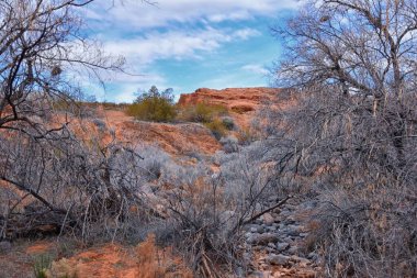 Chuckawalla and Turtle Wall landscape views from trail  Cliffs National Conservation Area Wilderness Snow Canyon State Park St George, Utah, United States