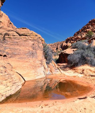 Snow Canyon State Park Red Sands views from hiking trail  Cliffs National Conservation Area Wilderness St George, Utah, United States.