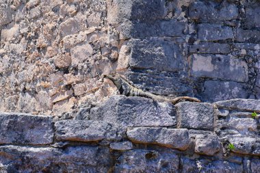 Meksika Yucatn Yarımadası 'ndaki Karayipler kıyısındaki Tulum antik Maya liman şehri. El Castillo harabelerinin manzarası. Kuzey Orta Amerika.