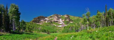 Timpanogos Rocky Dağları, Utah 'tan Wasatch Dağı, Primrose Overlook Horse Spring yürüyüş parkurundan. Birleşik Devletler.