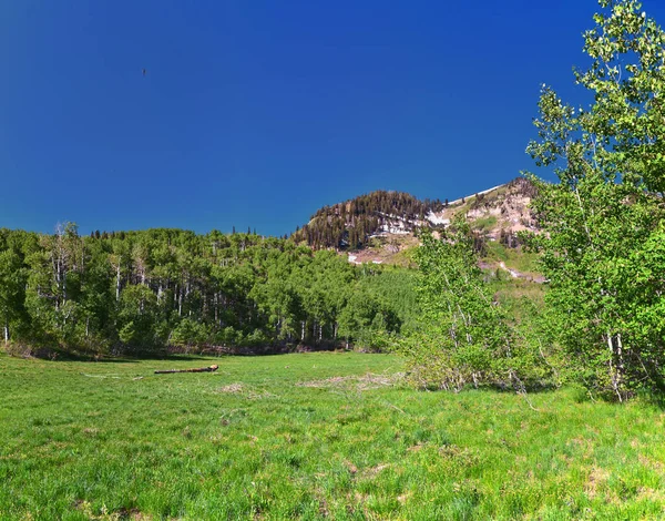 Wasatch Mountain Landskap Från Primrose Overlook Horse Spring Vandringsled Timpanogos — Stockfoto