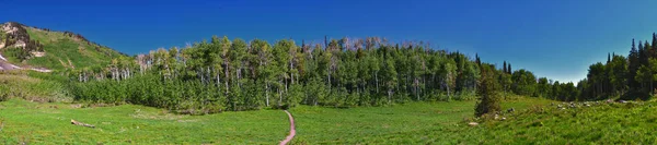 Гірський Пейзаж Васач Прімроуз Огляд Пішохідної Стежки Кінь Весна Тімпанігос — стокове фото