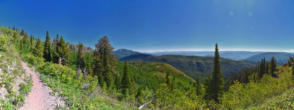 Krajobraz Górski Wasatch Primrose Widok Konia Wiosenny Szlak Turystyczny Timpanogos — Zdjęcie stockowe