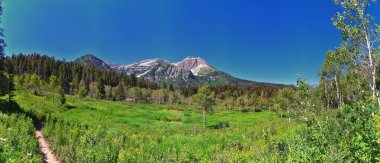 Timpanogos, Uinta Wasatch Önbellek Ulusal Ormanı, Rocky Dağları, Utah 'tan Pine Hollow yürüyüş görüntülerine geri döndü. Birleşik Devletler.